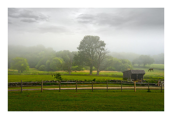 Pastoral Scene