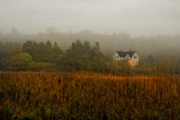 Monhegan's Marshland