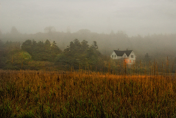 Monhegan's Marshland