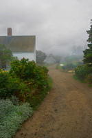 Foggy Day in October on Monhegan Island