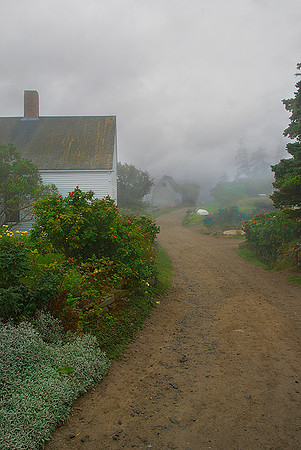 Foggy Day in October on Monhegan Island