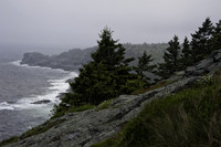 Foggy Maine Coastline