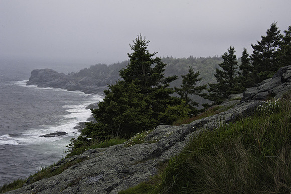 Foggy Maine Coastline