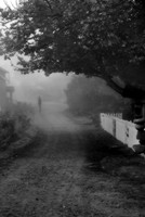 Fogged-in road on Monhegan Island