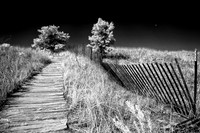 Prout Neck beach, ME
