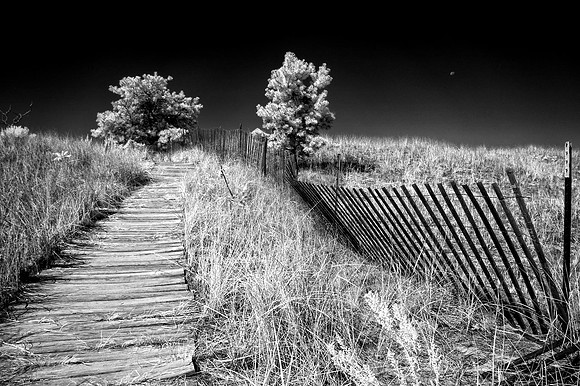 Prout Neck beach, ME