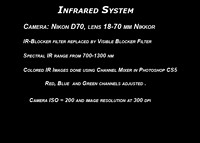 INFRARED IMAGES