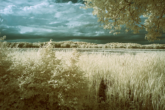 Colored Infrared Scenic View