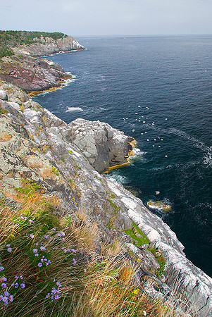Cliffs of Monhegan Island