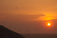 Sunset at Monhegan Island,ME