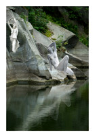 Emerging Forms