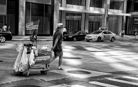A Walk on the Wild Side on July 4th