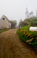 Main Road on Monhegan Island