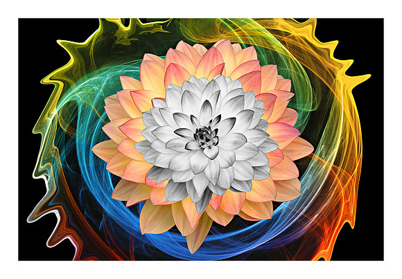 Flower with a Flower