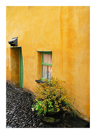 The Yellow House