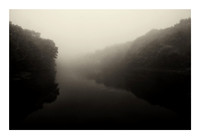 Foggy Back Cove