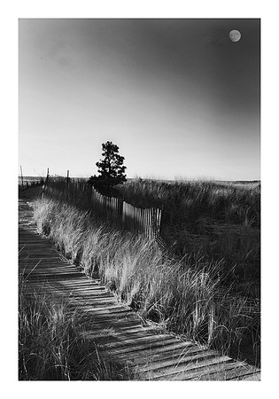 The Byway